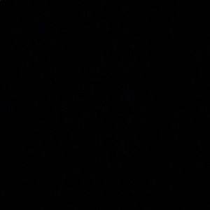 Meet your Posher, Devin